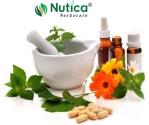 Top 10 Ayurvedic Companies in India