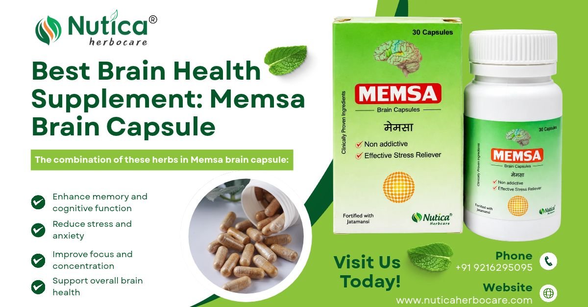 Best Brain Health Supplement